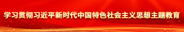 老骚逼学习贯彻习近平新时代中国特色社会主义思想主题教育